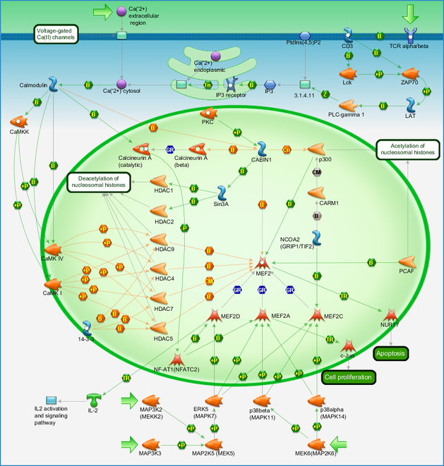 photo_map