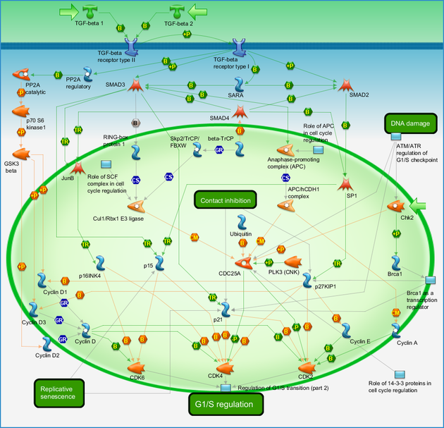 photo_map