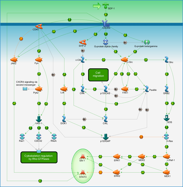 photo_map