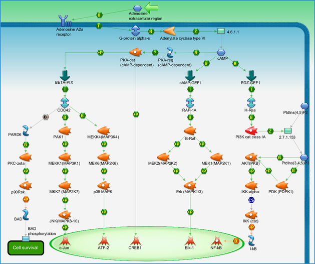 photo_map
