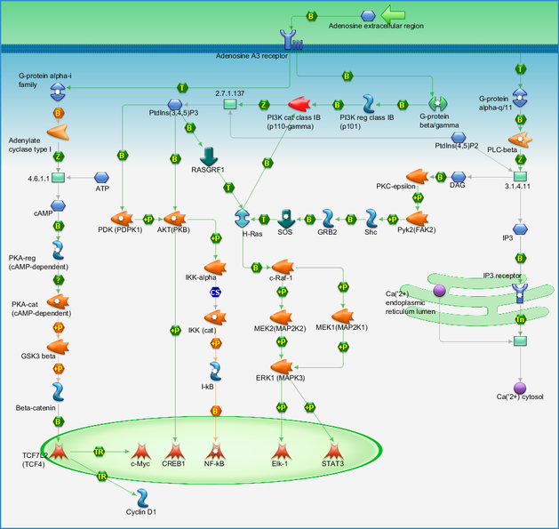 photo_map