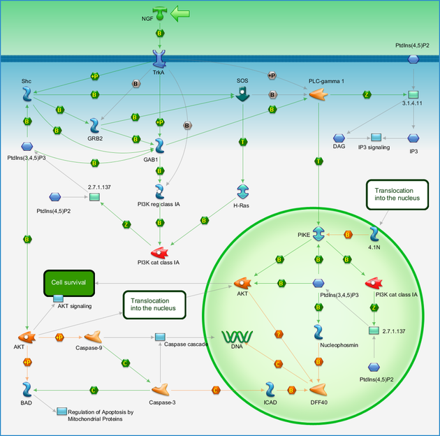 photo_map