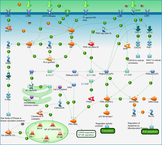 photo_map