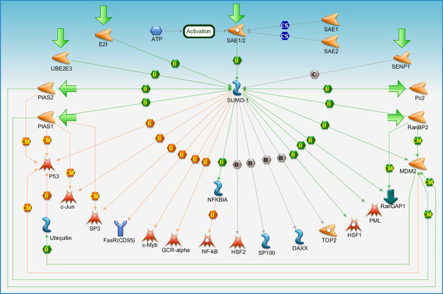 photo_map