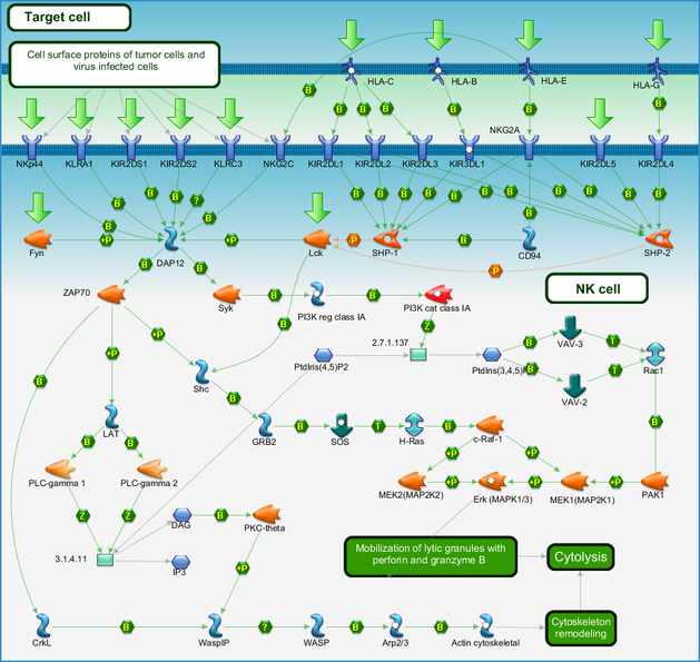 photo_map