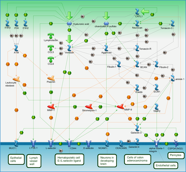 photo_map