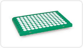 Hard Shell 96-well PCR Plates