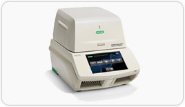 CFX96 Touch Deep Well real-time PCR detection system