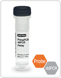 PrimePCR Assays for Droplet Digital PCR