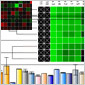 Real-Time PCR Data Analysis