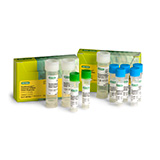 SsoAdvanced Universal SYBR Green and Probes Supermixes - SsoAdvanced Supermixes