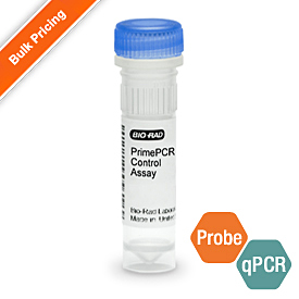 PrimePCR Primer Assays for Real-Time PCR experimental controls RT, gDNA, PCR and RNA quality tube