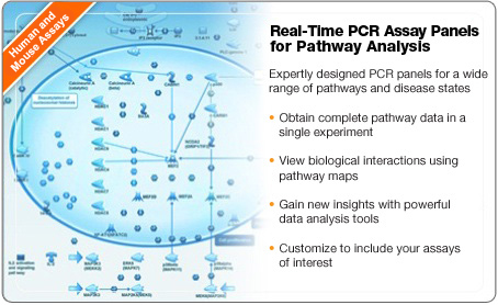 PrimePCR Assays - Pathway Panels