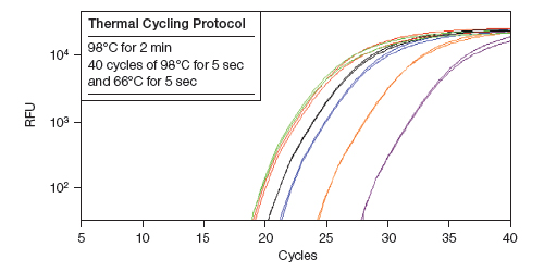 Efficient Amplification of High GC Targets