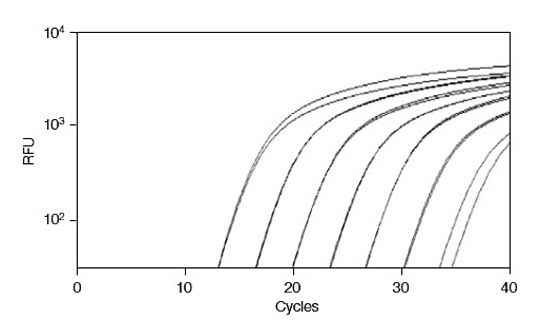 Gene Expression Analysis