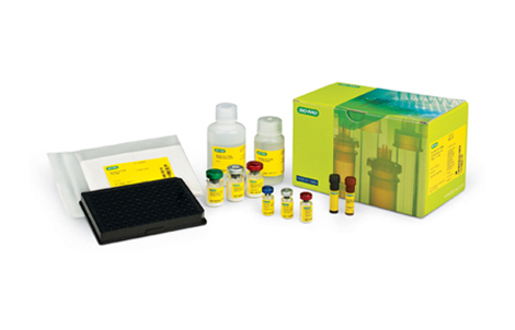 Bio-Plex Pro RBM Human Kidney Toxicity Assays