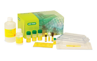 Diabetes Kit