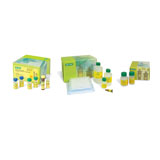 Bio-Plex Pro Human Angiogenesis 9-Plex Panel Complete Kit #171-A4S11M