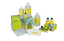 Bio-Plex Pro Human Diabetes 10-Plex Assay #171-A7010M