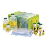 Bio-Plex Precision Pro Human Cytokine 10-Plex Panel #171-A1001P