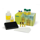 io-Plex Pro Human Cancer Biomarker Panel 2, 18-plex (#171-AC600M) - Bio-Plex Pro Human Cancer Assays 