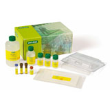 Bio-Plex Pro Mouse Cytokine 23-plex Assay #M60-009RDPD