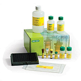Bio-Plex Pro Rat Metabolic 5-plex Panel