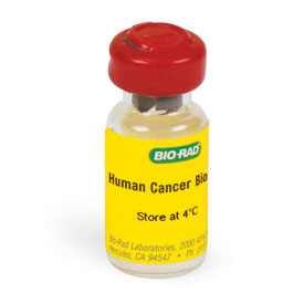 Bio-Plex Pro Human Cancer Biomarker Panel 2, 18-plex Standards (#171-DC6000) - Bio-Plex Pro Human Cancer Assays