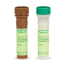 Bio-Plex Pro Total Erk1/2 Set (#171-V60003M) - Bio-Plex Pro Cell Signaling Assay