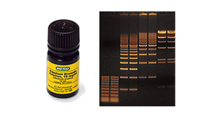 Nucleic Acid Stains and Tracking Dyes
