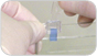 Using Precision Plus Protein Standard Plugs