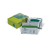 12% Mini-PROTEAN® TGX™ Precast Gel