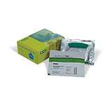 4–15% Mini-PROTEAN® TGX™ Precast Gel