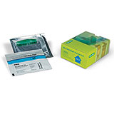 4-15% Mini-PROTEAN TGX Stain-Free