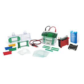 Mini-PROTEAN Tetra Cell and Mini Trans-Blot Module #165-8029