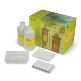 Trans-Blot Turbo RTA Midi PVDF Transfer Kit