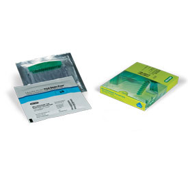 4-15% Mini-PROTEAN TGX Stain-Free