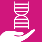 A DNA helix above the hands of an expert