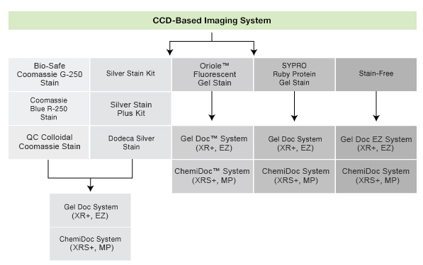 CCD-based Imaging