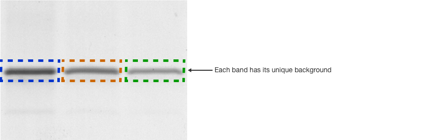 Measuring the protein band volume of three bands, each with varying background, on one western blot.