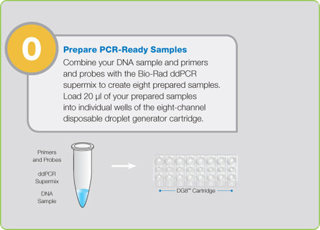 Step 0: Prepare PCR-Ready Samples prior to Starting ddPCR