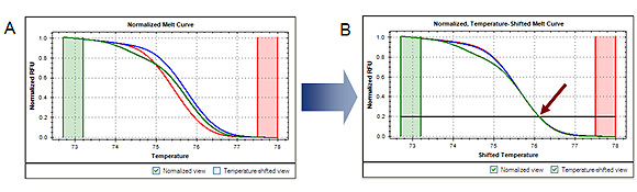 Temperature-shifted PCR product melt curve plot for high resolution melting