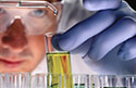 New Labs and New Grants