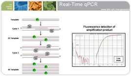 From Singleplex to Multiplex: Making the Most Out of your Real-Time Experiments 