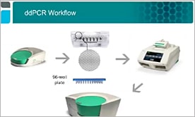 Droplet Digital PCR Tips & Tricks: ddPCR Assay Design