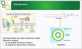 Label Free Analysis of Small Molecules and Peptides Binding to Liposomes