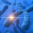 Copy number variation