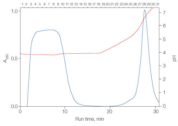 Purification of murine IgG1 on UNOsphere S column