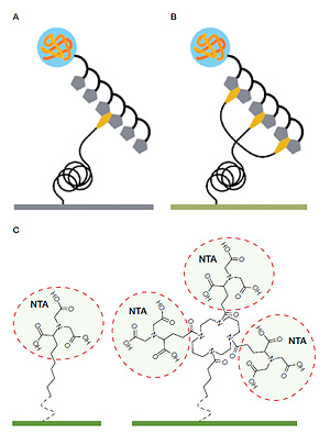 Bio-Rad's tris-NTA histidine-tagged protein capture chip for SPR