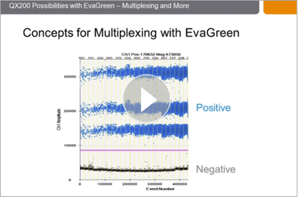 Droplet Digital PCR Assays: How to Design a Multiplex Experiment with EvaGreen